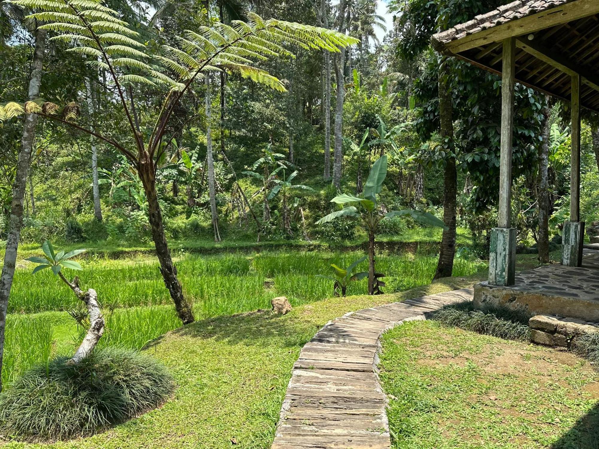 הוילה ג'טילווי Oemah Tepi Sawah מראה חיצוני תמונה
